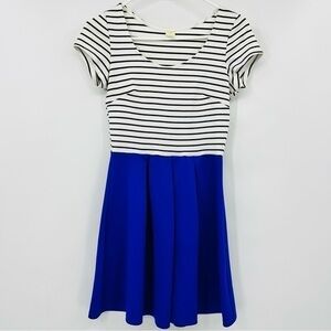 Maru Fit and Flare Dress Womens Small Blue Striped Short Sleeve Pleated Skater